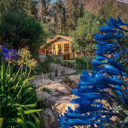 Andean Wings Valley Urubamba Bagian luar foto