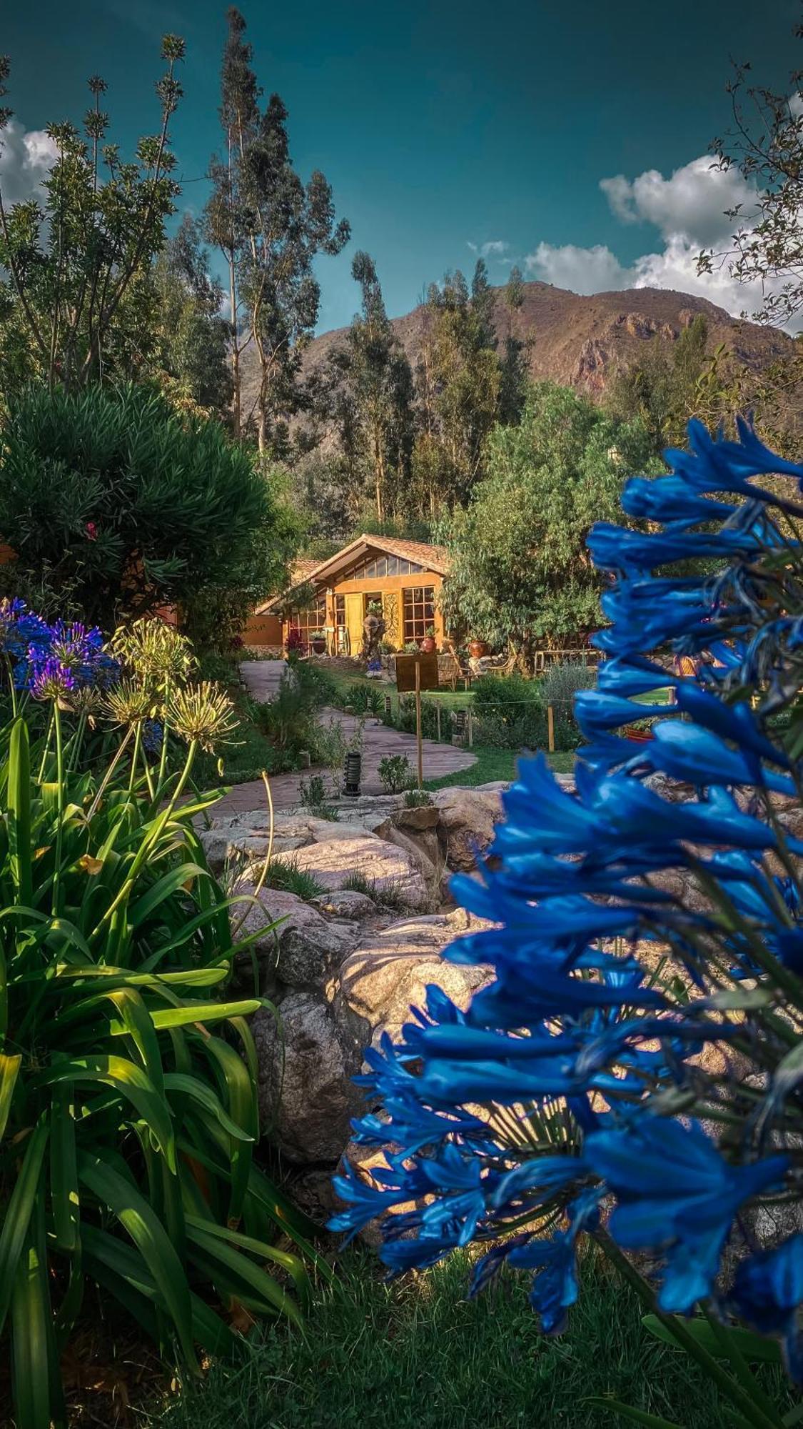 Andean Wings Valley Urubamba Bagian luar foto
