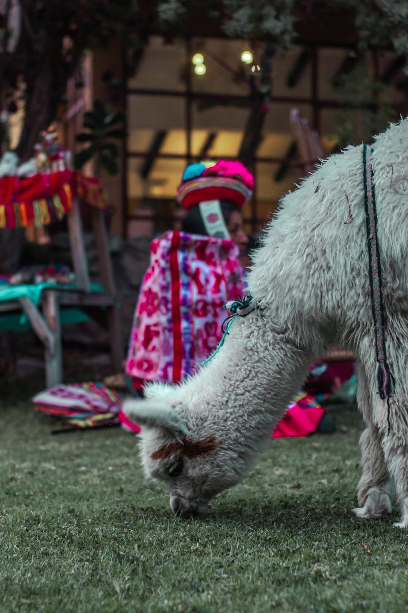 Andean Wings Valley Urubamba Bagian luar foto