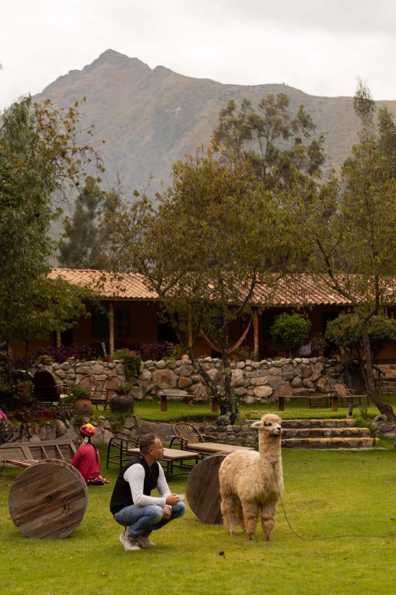 Andean Wings Valley Urubamba Bagian luar foto
